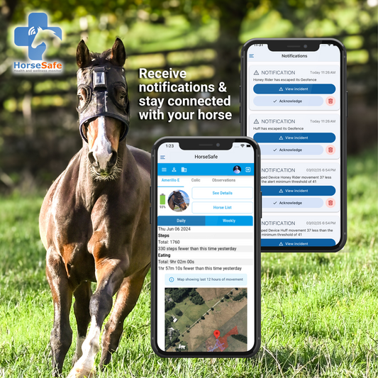 Exciting News! The HorseSafe App is now available on Android & iOS