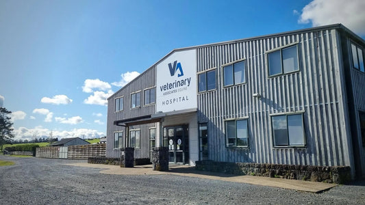 Vet Associates partners with HorseSafe for the greater Auckland region