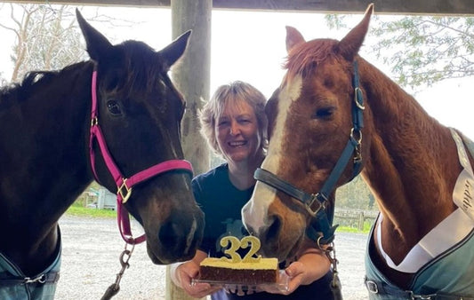 HorseSafe Monitor & Alert Helps Save Jack’s Life | Horse Cast Case Study