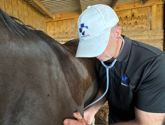 Preventative Measures: How Early Detection Can Save Your Horse