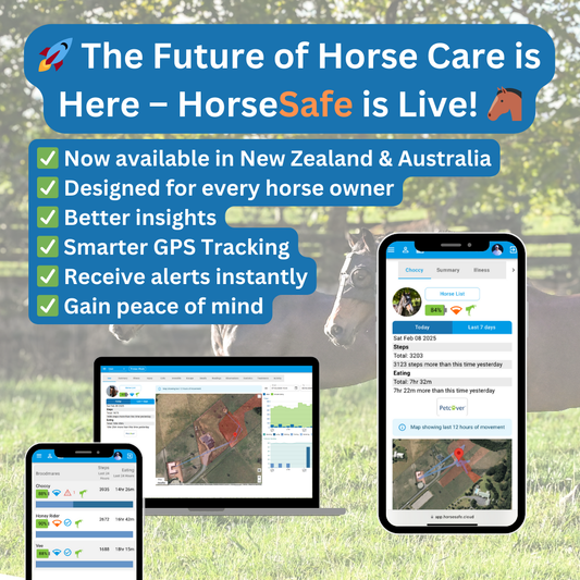 New version of HorseSafe is launching in February! || New Zealand & Australia