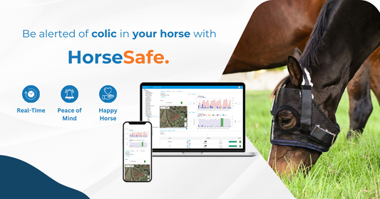 The Future of Equine Health: Emerging Trends and How HorseSafe Stays Ahead