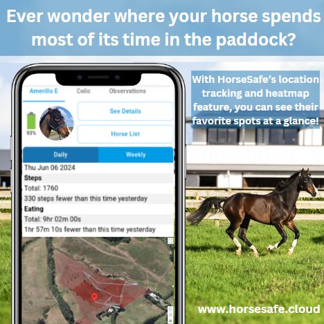 Discover Your Horse’s Favourite Spots in the Paddock with HorseSafe’s Location Tracking and Heatmap Feature