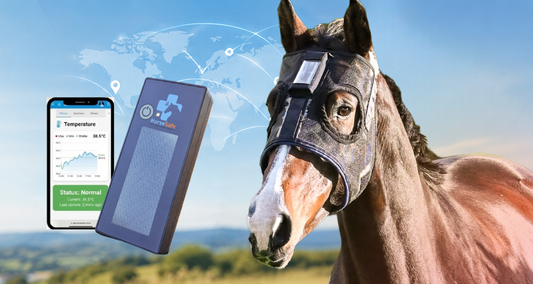 HorseSafe September 2026 Newsletter: HorseSafe Around the World