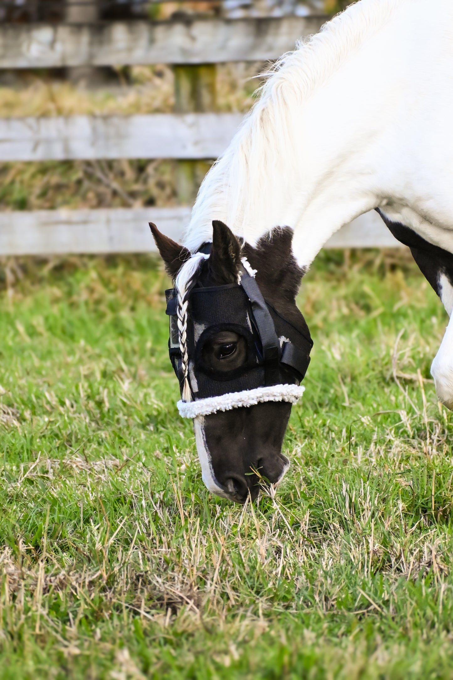 HorseSafe Fluffy Deluxe Harness